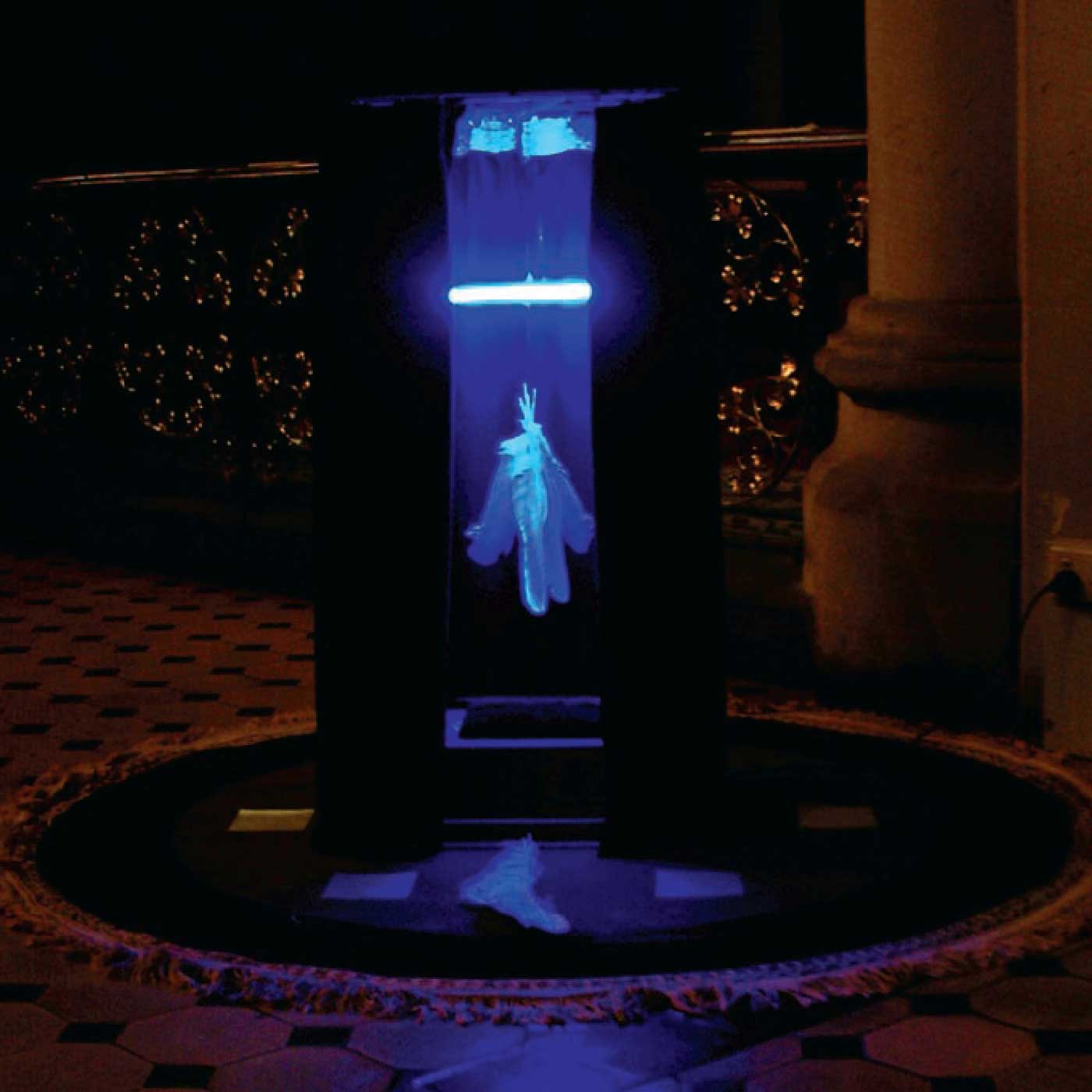 James Waller Icon Chamber The Visitation St Patrick S Cathedral 2006