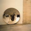 Anish Kapoor