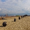 Antony Gormley