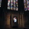 Bill Viola