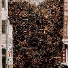 Doris Salcedo