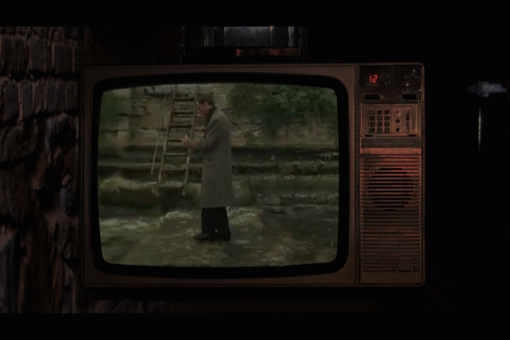 Andrei Tarkovsky, Nostalghia (Final Scene), 1983