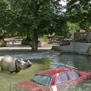 Christoph Steinbrener and Rainer Dempf, Trouble in Paradise, 2009