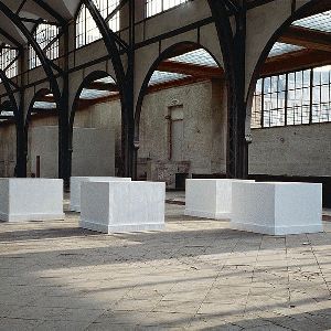 Didier Vermeiren, Zeitlos, 1988