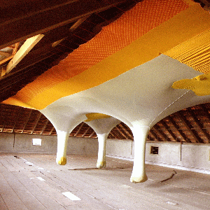 Ernesto Neto, Life is a River, 2012