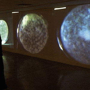 Geraldine Ondrizek, Inner Space, Global Matter: Cellular, 2013