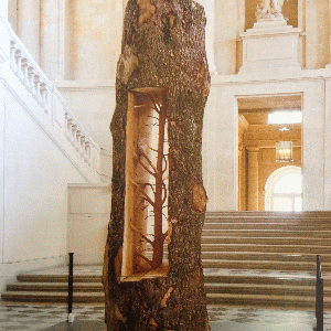 Giuseppe Penone, Albero portacedro, 2013