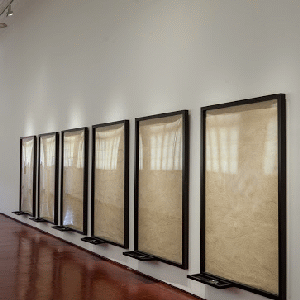 Hema Upadhyay, Silence and Its Reflections, 2014