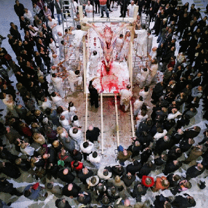 Hermann Nitsch, Orgien-Mysterien-Theaters, 2005