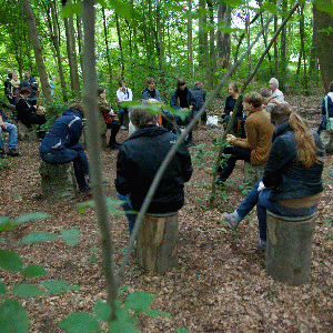 Janet Cardiff and George Bures Miller, FOREST (for a thousand years...), 2012