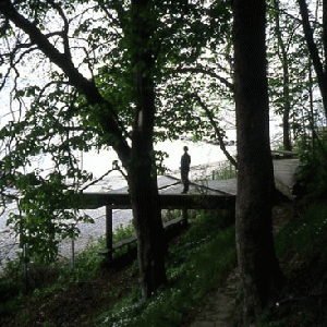 Janet Cardiff and George Bures Miller, Louisiana Walk, 1996