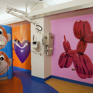 Jeff Koons, CAT scan room, 2014