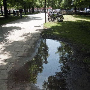 Kirsten Pieroth, Berlin Puddle, 2013