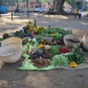 Mahlet Ogbe, Trading Good Trading Buying Cooking, 2012