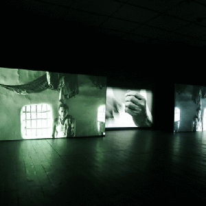 Ranbir Kaleka, House of Opaque Water, 2012